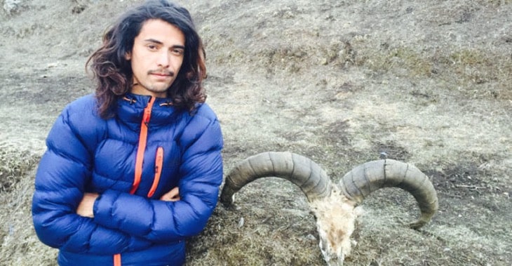 Manaslu Trek Report March 2016 blue sheep manaslu