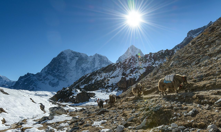 20 Best Treks in Nepal Everest Base Camp Trek