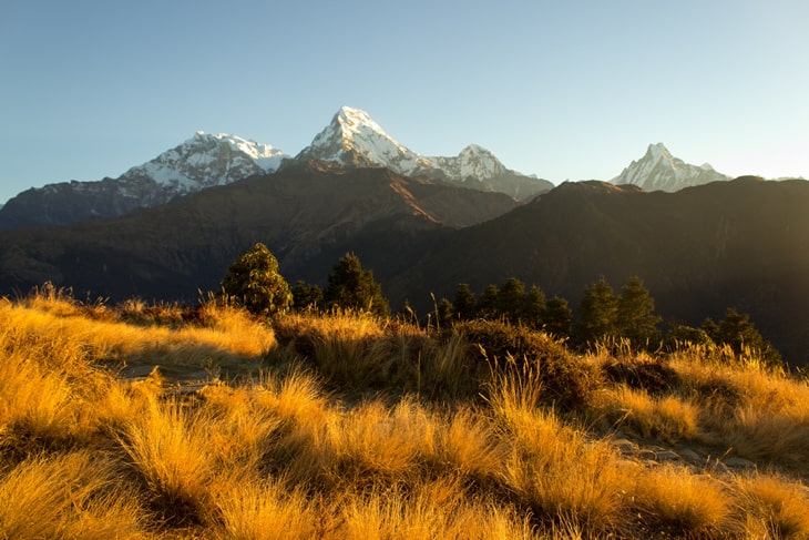 5 Best One Week Treks in Nepal Ghorepani Poon Hill Trek