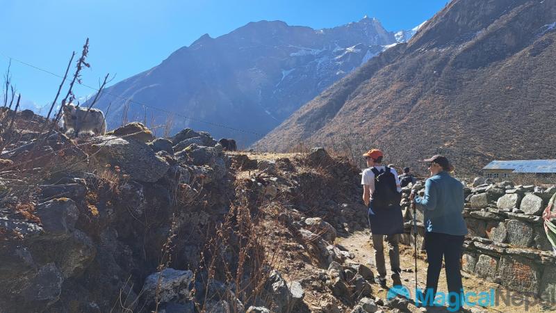 Langtang Valley Trek hiking langtang
