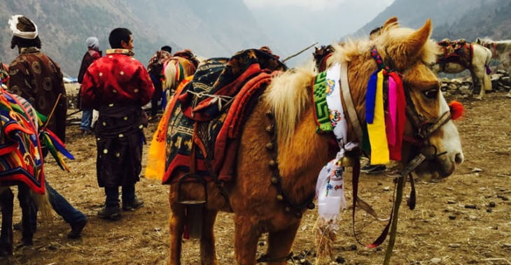 Manaslu Trek Report March 2016 hore race in manaslu