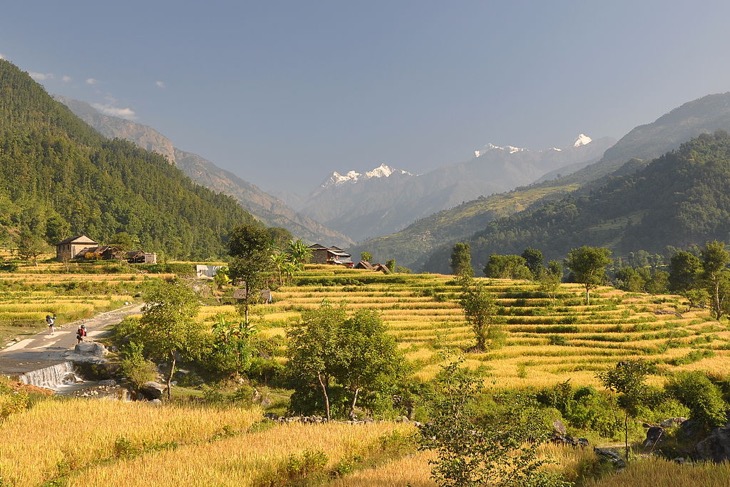 20 Best Treks in Nepal Manaslu Circuit Trek