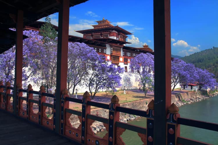 punakha dzong 6 nights 7 days