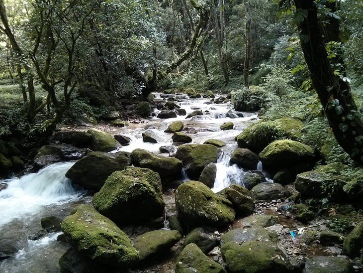 10 Best Easy Treks in Nepal Sundarijal Chisapani trek